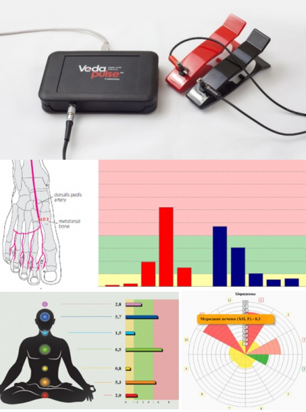 VEDA PULSE - ECG ritmos cardiacos e Análise do Pulso Ayurvedica - Neuro Quantum LLC